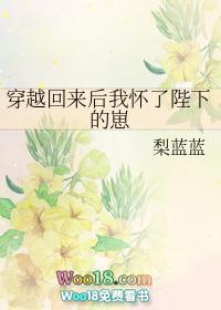 穿越回来后我怀了陛下的崽怪本网