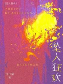 坠入狂欢讲的什么