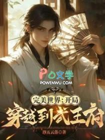 穿越在完美世界无敌的