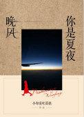 你是夏夜晚风 百度