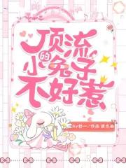 顶流的小兔子不好惹晋江