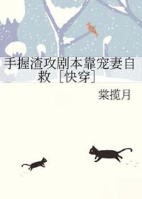 大佬他总想撩我免费阅读