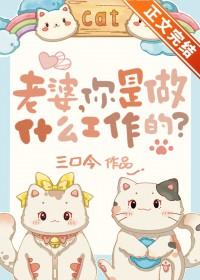 老婆你是做什么工作的免费阅读