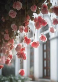 无限 电影2021百度百科