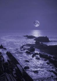 暗夜 txt