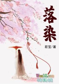 落染的全部txt