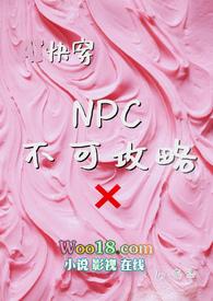 不可错过的npc