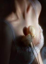 疯狗成是哪部电影