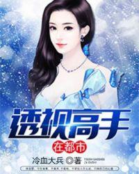 透视高手在都市叶开叶心