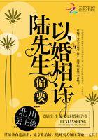陆先生偏要以婚相许最新免费