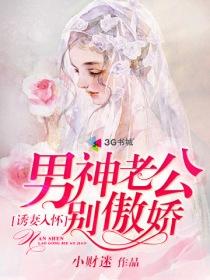 诱妻入怀老公深度宠