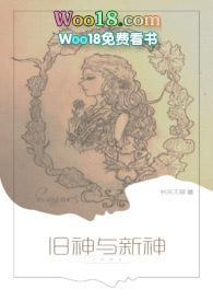 旧神与新神np