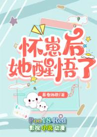 怀崽后我和alpha闹离婚晋江