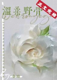 温柔野骨by金岫TXT