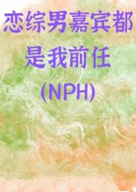 恋综男嘉宾都是我前任(NPH)作者怜江著