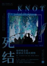 死结(姐弟骨科)讲什么