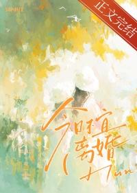 今日不宜离婚短剧免费播放