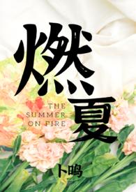 女主叫夏燃的