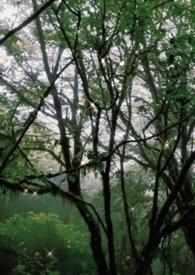 关于古早校园文中的你