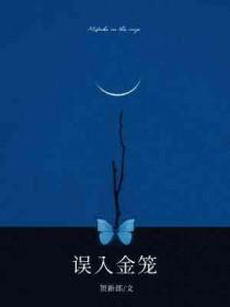 误入金笼贺新郎讲的是什么