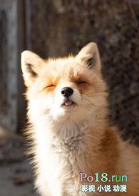 睡了反派就逃跑by醉又何妨