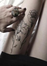 金丝雀为何那样by梅染