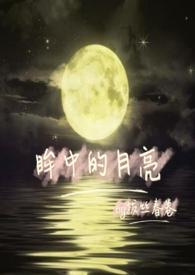 眸中泪心头血免费阅读
