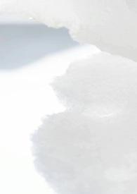 校园女生模拟器病娇模组