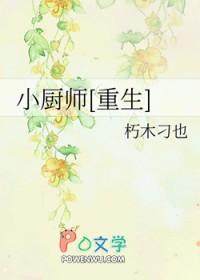 小厨师是什么意思