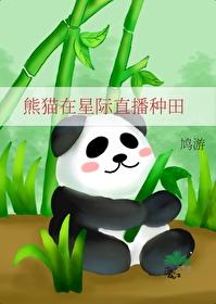 熊猫穿进星际文以后
