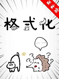 格式化时出现错误0000000