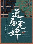 通房宠讲的什么