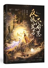 反派皇子走着瞧免费阅读