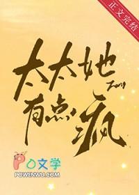 太太她有点疯by四单铺番外