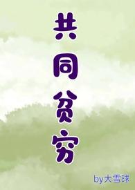 共同富裕 贫富差距