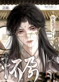 朕是天子岂能怀孕txt