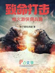 致命打击枪火游侠佣兵路TXT百度