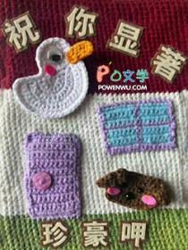 祝你显著by珍豪txt