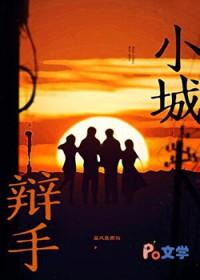 大城市小城市辩论