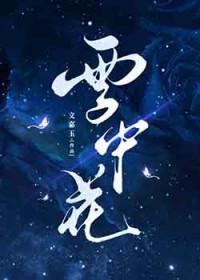 雪中花是哪部电视剧