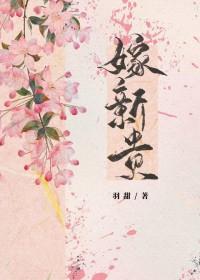 嫁新贵百度