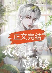 联邦议会和联邦议院