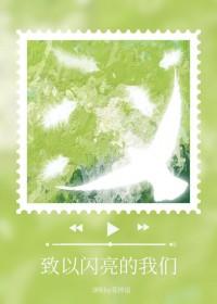 致敬最闪亮的星图片