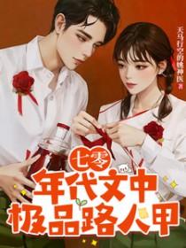七零年代文中极品路人甲TXT