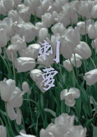 刺萝卜根有什么用处