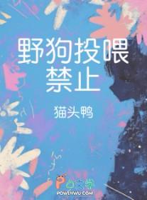 给野狗喂食有危险吗