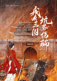 我在三国挖墙角