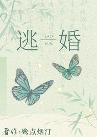 gl 逃婚之后