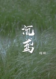 沉鸢po作者结因