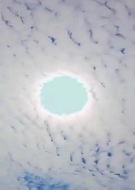 高H)最新章节txt